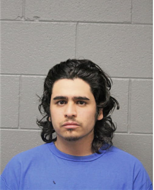 ALEJANDRO S DIAZ, Cook County, Illinois