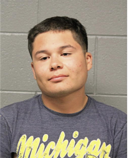 EDUARDO FLORES, Cook County, Illinois