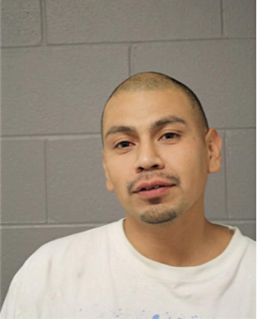 JAVIER M HERNANDES, Cook County, Illinois