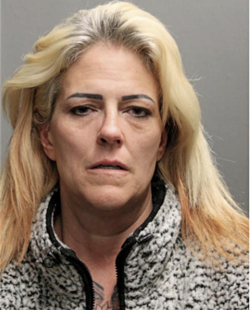 KELLY L JAMES, Cook County, Illinois