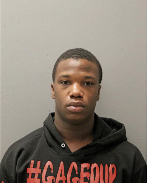 DOMINIC O JOHNSON, Cook County, Illinois