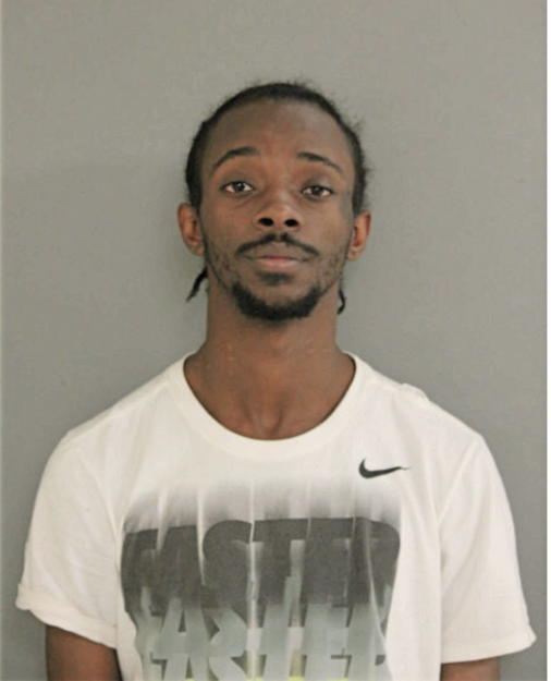 MICHAEL L JOHNSON, Cook County, Illinois