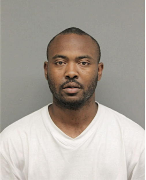 TIMOTHY L JOHNSON, Cook County, Illinois