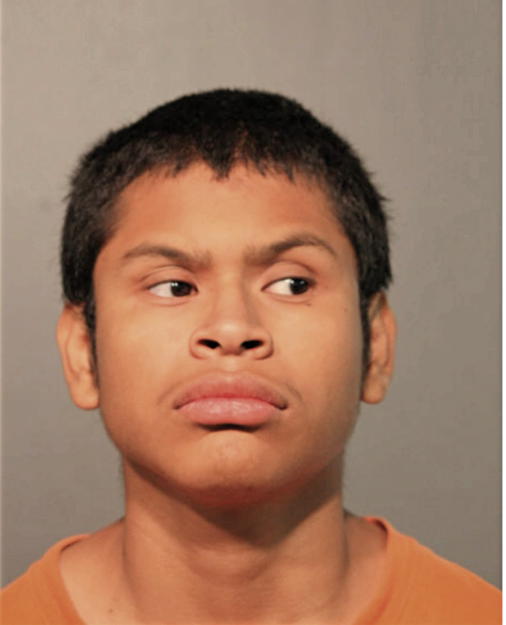 JULIO J LIBERMAN, Cook County, Illinois