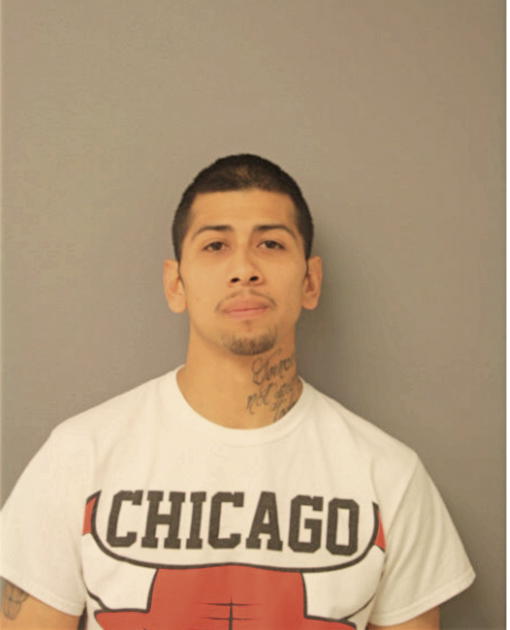 ALBERTO MARTINEZ, Cook County, Illinois