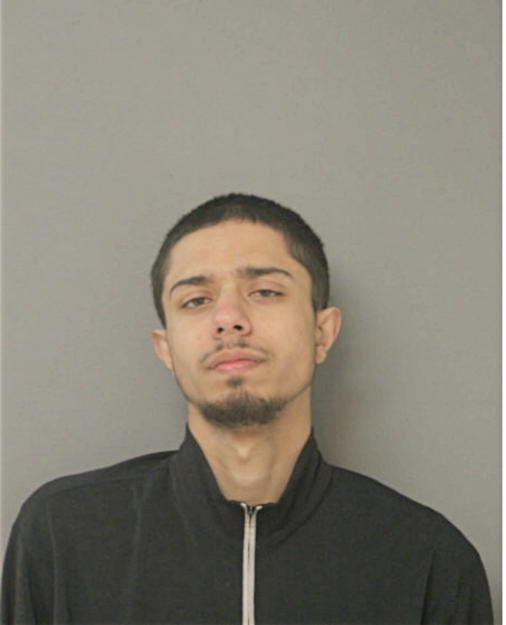 EDIN MUJKOVIC, Cook County, Illinois