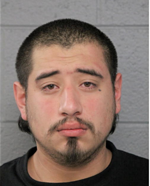 MIGUEL NAVARRETE, Cook County, Illinois