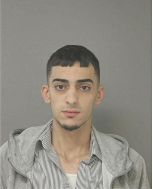 OMAR N OTHMAN, Cook County, Illinois