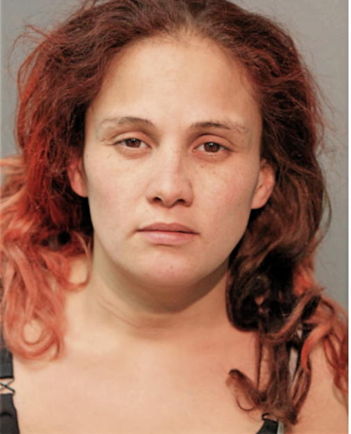 INGRID REVIS, Cook County, Illinois