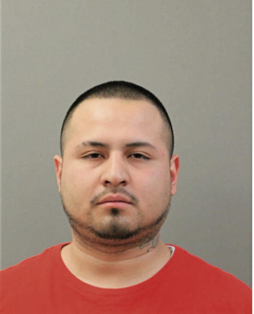 ERIC ROA, Cook County, Illinois