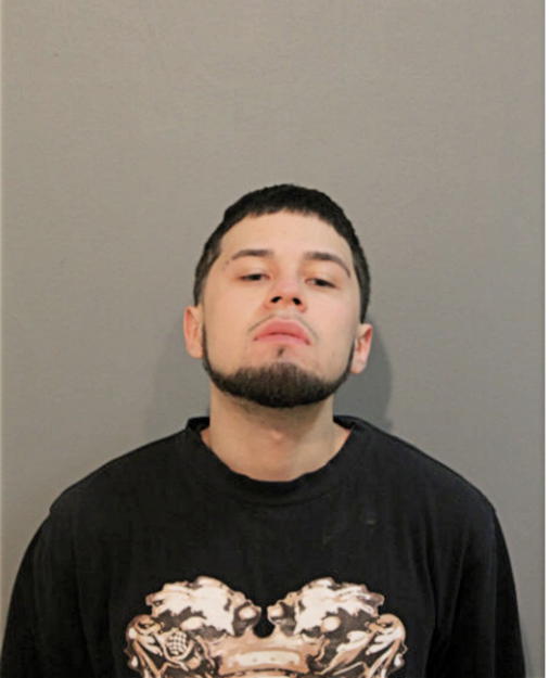 DANIEL R RODRIGUEZ, Cook County, Illinois