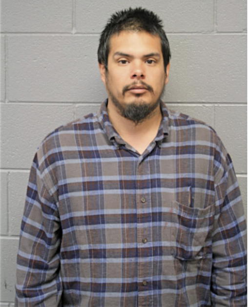 RAMON L ROMERO, Cook County, Illinois