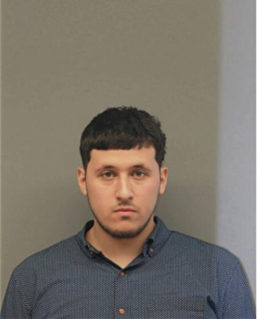 ALI A SALAMAH, Cook County, Illinois