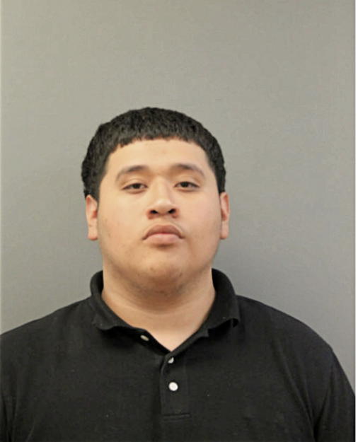 FRANSISCO J SALINAS, Cook County, Illinois