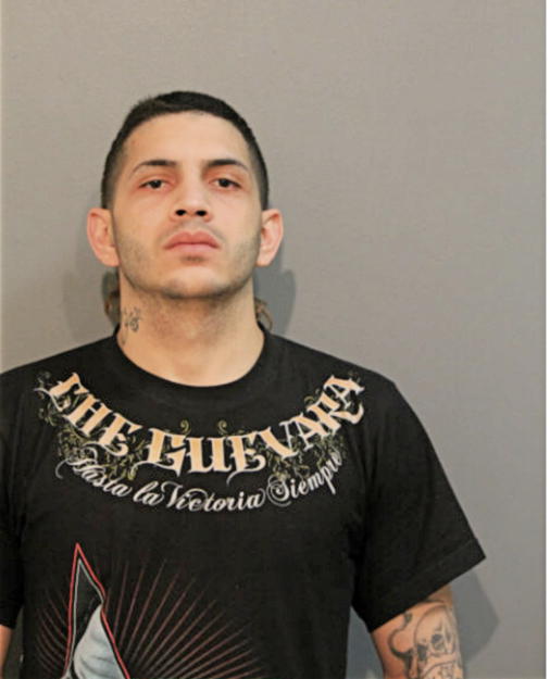 FELIX C SANTIAGO, Cook County, Illinois