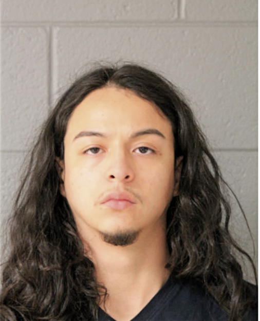 JESUS A VALDEZ, Cook County, Illinois
