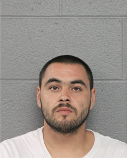 EMMANUEL L AYALA, Cook County, Illinois