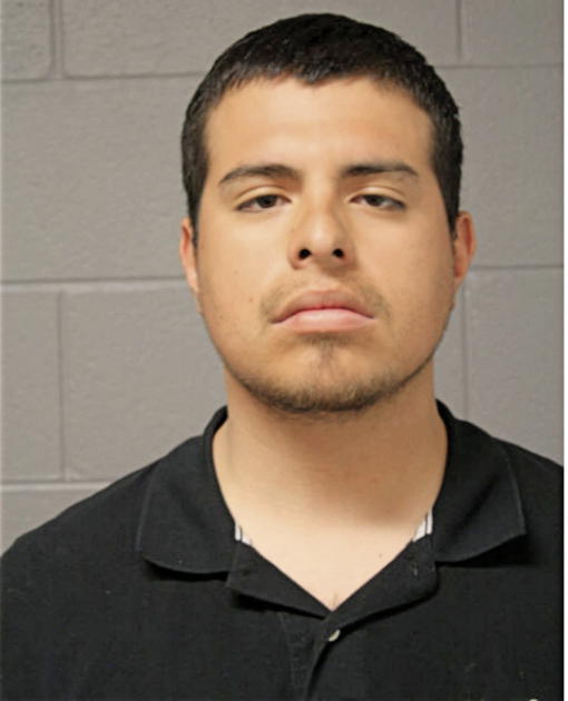 JONATHAN CASTILLO, Cook County, Illinois