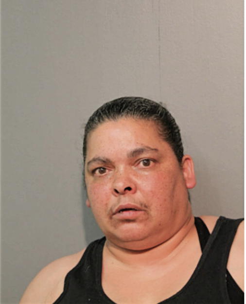 CARMEN S CEDENO, Cook County, Illinois
