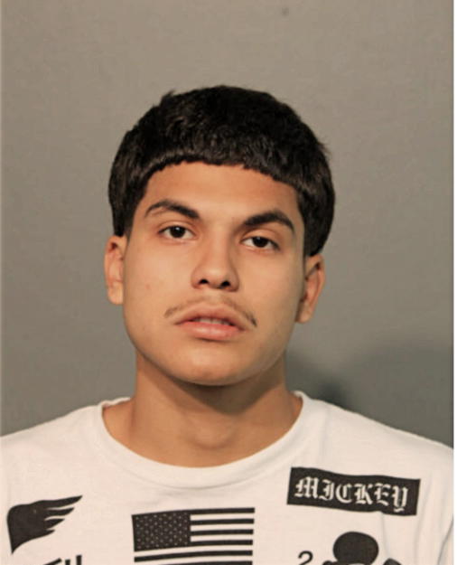 MICHAEL CEDENO, Cook County, Illinois