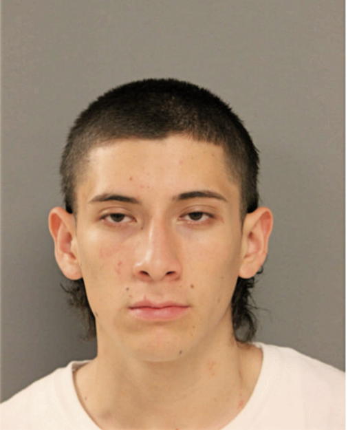 LUIS A DURAN, Cook County, Illinois