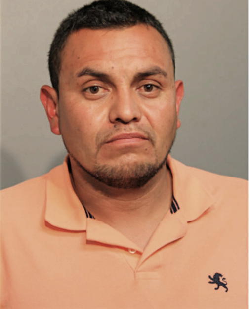 ENRIQUE GONZALEZ, Cook County, Illinois