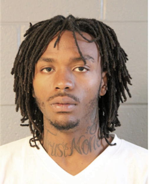 TERRENCE T HAMMOND, Cook County, Illinois