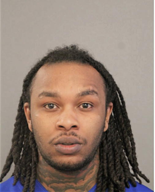 ANTHONY M JOHNSON, Cook County, Illinois