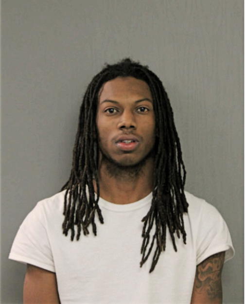 BRIAN J JOHNSON, Cook County, Illinois