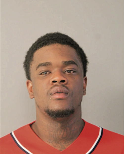 DONOVAN R JOHNSON, Cook County, Illinois