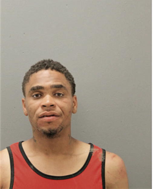 EARNEST D JOHNSON, Cook County, Illinois