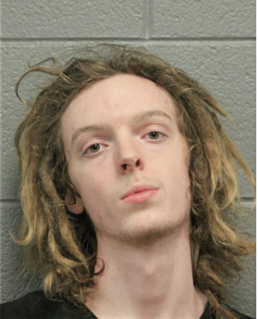 ETHAN JOHNSON, Cook County, Illinois