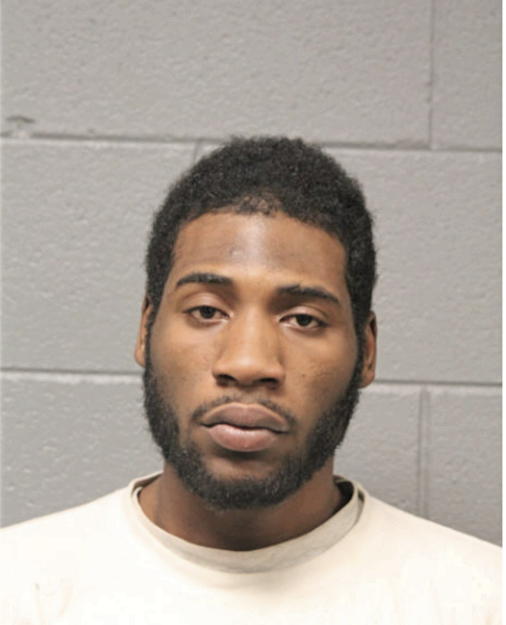 BRIAN L LEWIS, Cook County, Illinois