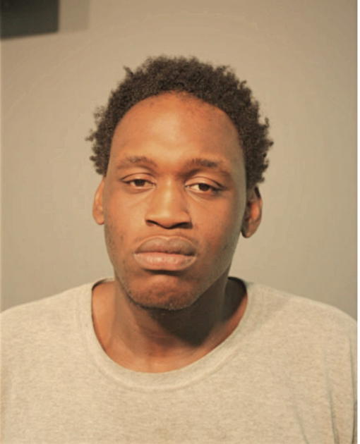 ANDREW M LEWIS, Cook County, Illinois