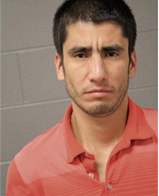 MISAEL LOPEZ, Cook County, Illinois