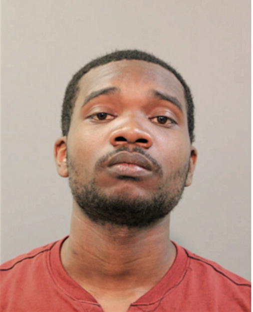 BRANDON N MARTIN, Cook County, Illinois