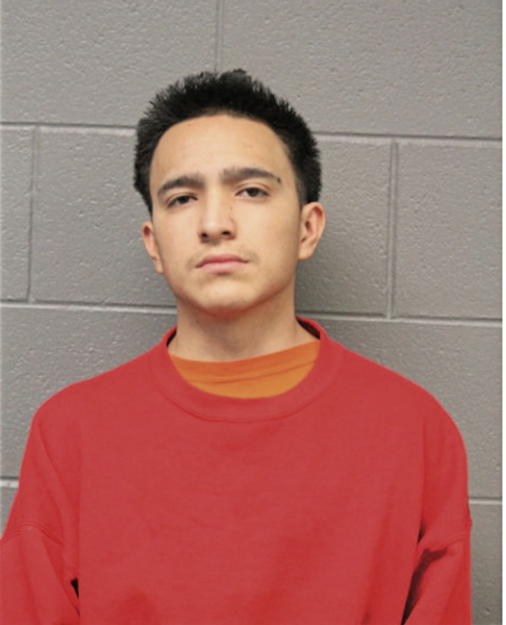 LUIS MARTINEZ-HERNANDEZ, Cook County, Illinois