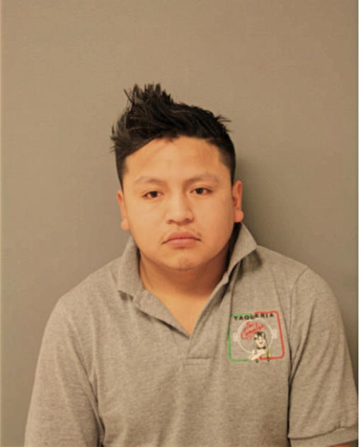 ALEJANDRO MENDOZA, Cook County, Illinois