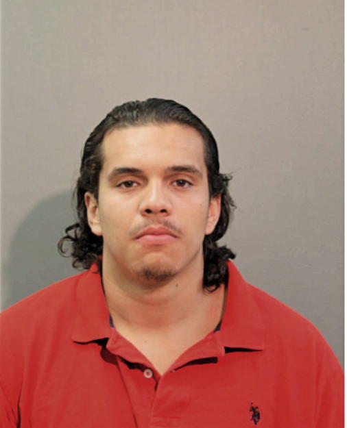 CARLOS A OCAMPO, Cook County, Illinois