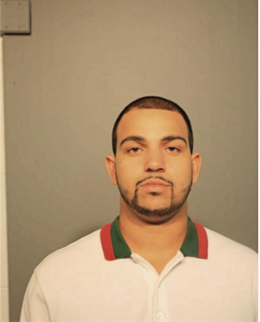 RAIMON PIERCE, Cook County, Illinois