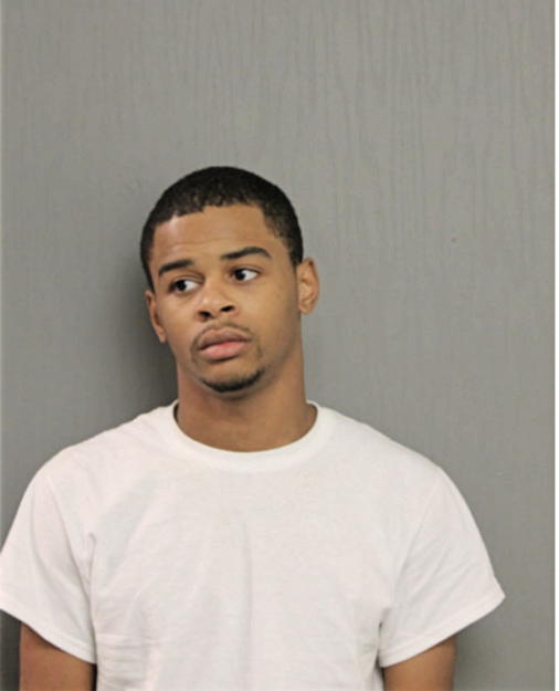 MICHYAEL J REYNOLDS, Cook County, Illinois