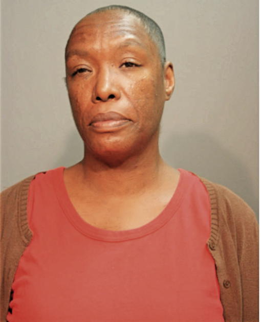 STACEY E ROBINSON, Cook County, Illinois