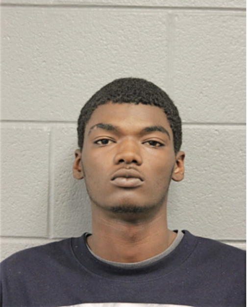 BRYAN R WILLIAMS, Cook County, Illinois