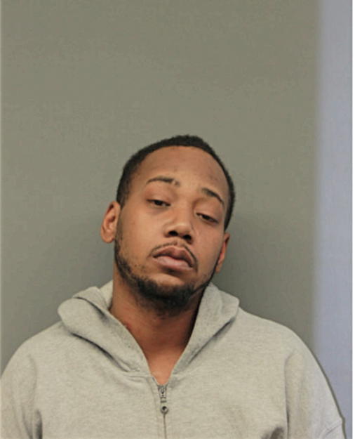WESLEY L WILLIAMS, Cook County, Illinois