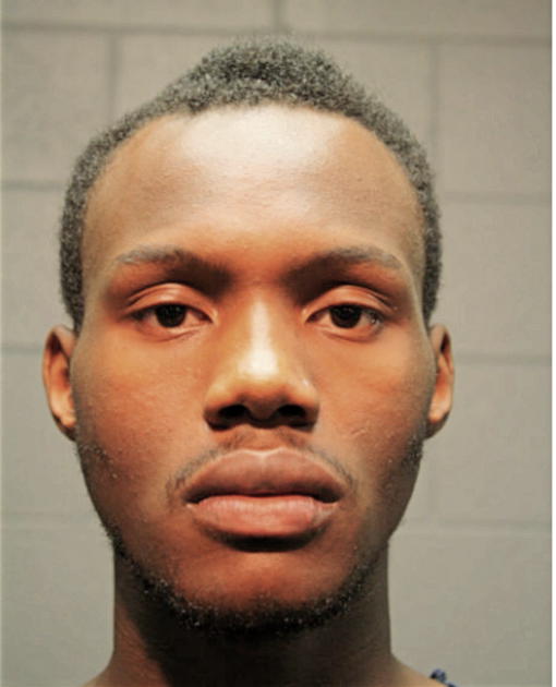 JERRY D ALLEN, Cook County, Illinois