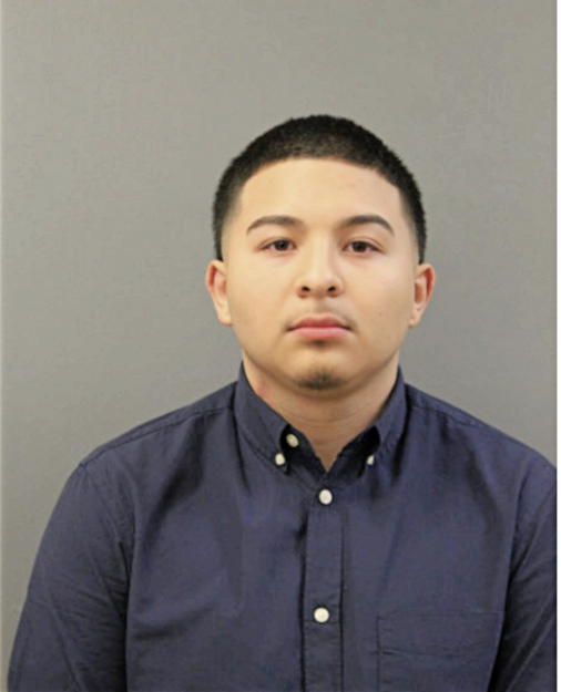 ADOLFO A ARREOLA, Cook County, Illinois