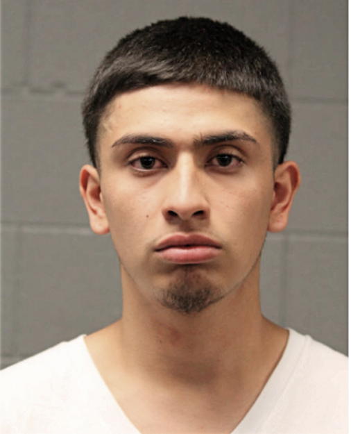 WILLIAM A CARILLO, Cook County, Illinois