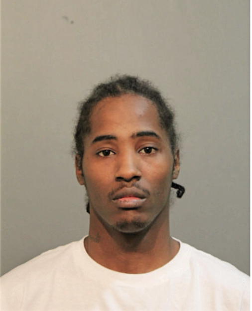LARRY L CARR, Cook County, Illinois