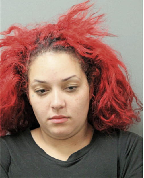 ERIKA DIAZ, Cook County, Illinois