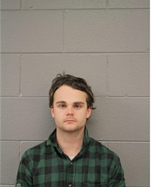 BENJAMIN A ELLIS, Cook County, Illinois